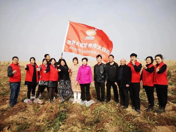 11月12日，眾人翹首以盼的太極莊山藥采挖活動在太極莊公司的溫縣·富硒鐵棍山藥標準化種植基地拉開帷幕