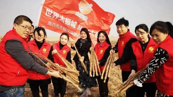 鐵棍山藥規(guī)?；藴驶N植